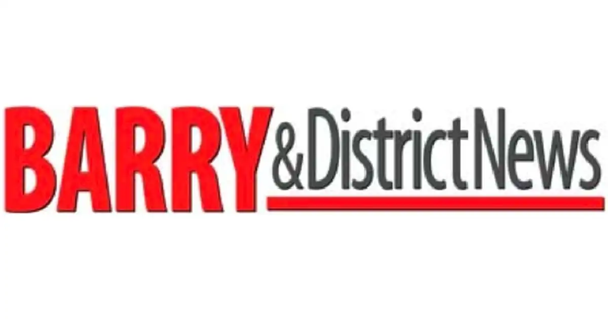 Barry and District News logo