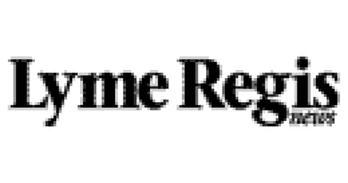 Lyme Regis News logo