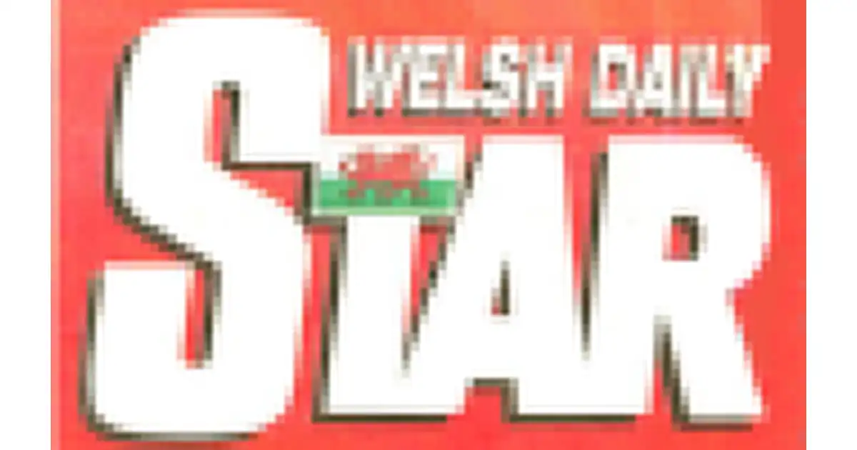 Welsh Daily Star logo