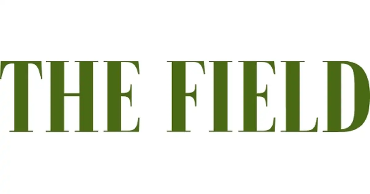 The Field logo