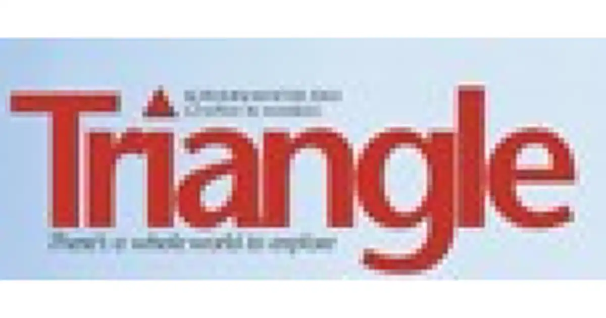 Triangle logo