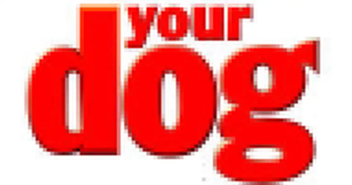 Your Dog logo