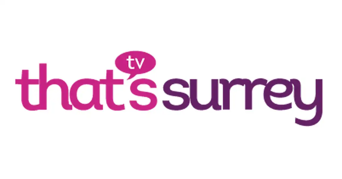 That's TV South East logo