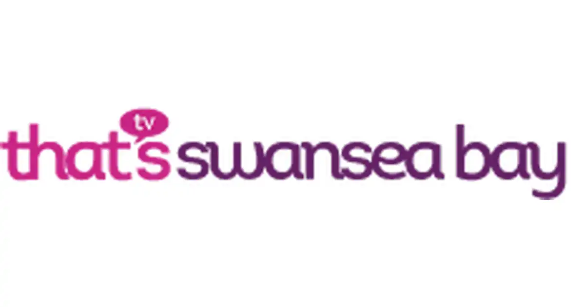 That's TV South Wales logo