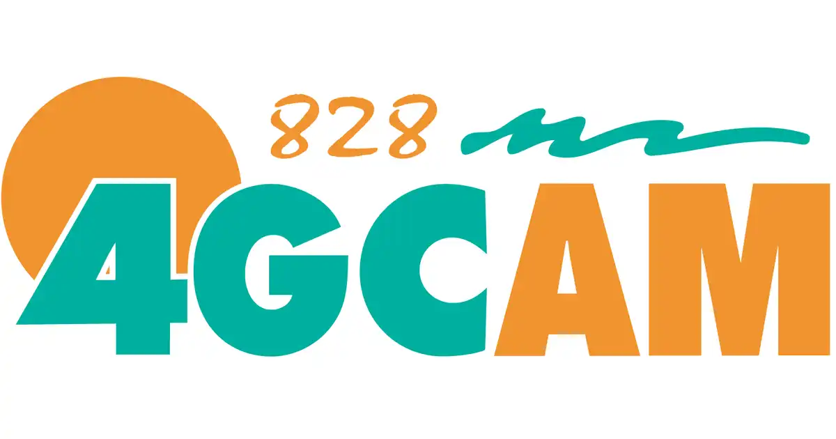 4GC logo